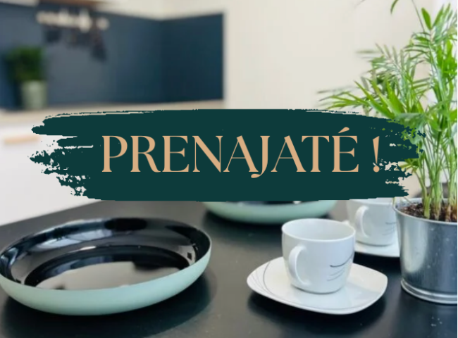 PRENAJATÉ ! – Štýlový 1-izbový byt v centre Nitry